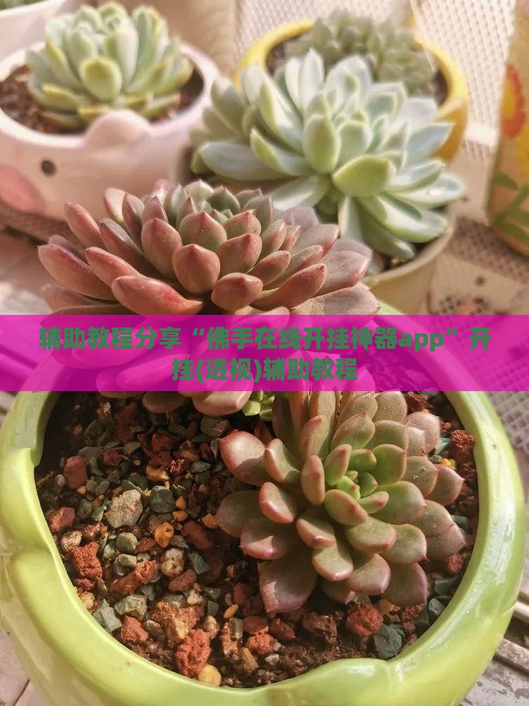 辅助教程分享“佛手在线开挂神器app	”开挂(透视)辅助教程