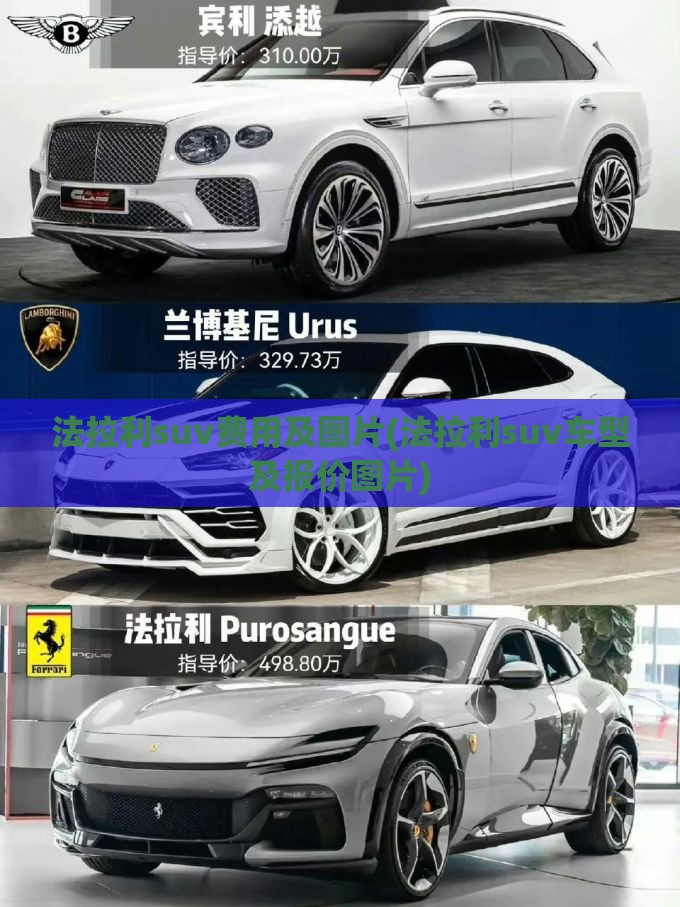 投资理财科普