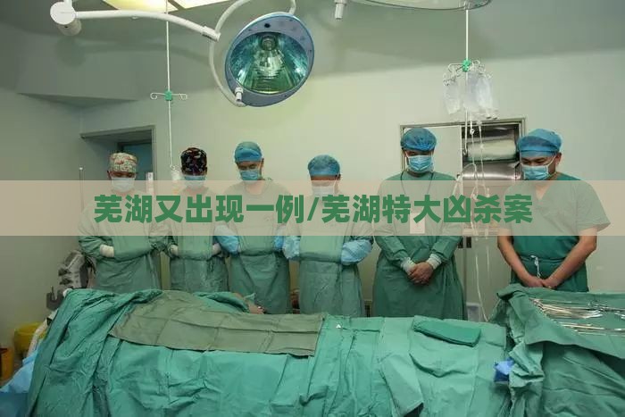 芜湖又出现一例/芜湖特大凶杀案 芜湖又出现一例/芜湖特大凶杀案