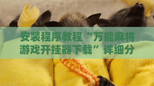 安装程序教程“万能麻将游戏开挂器下载”详细分享装挂步骤