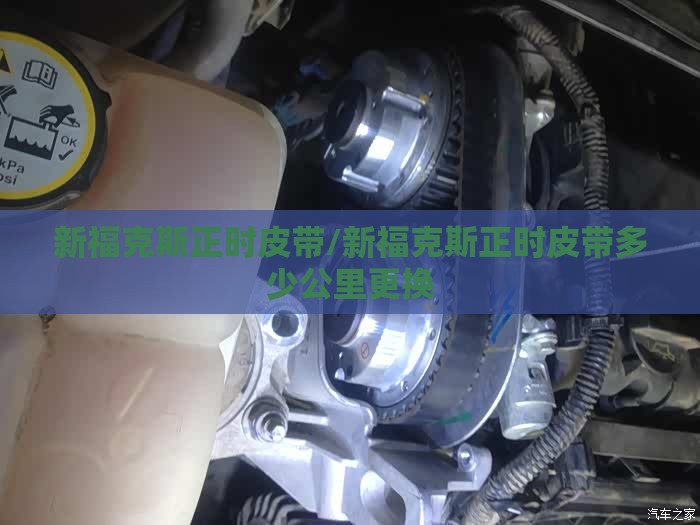 安装程序教程“徽乐麻将可以开挂吗安卓”开挂辅助透视教程