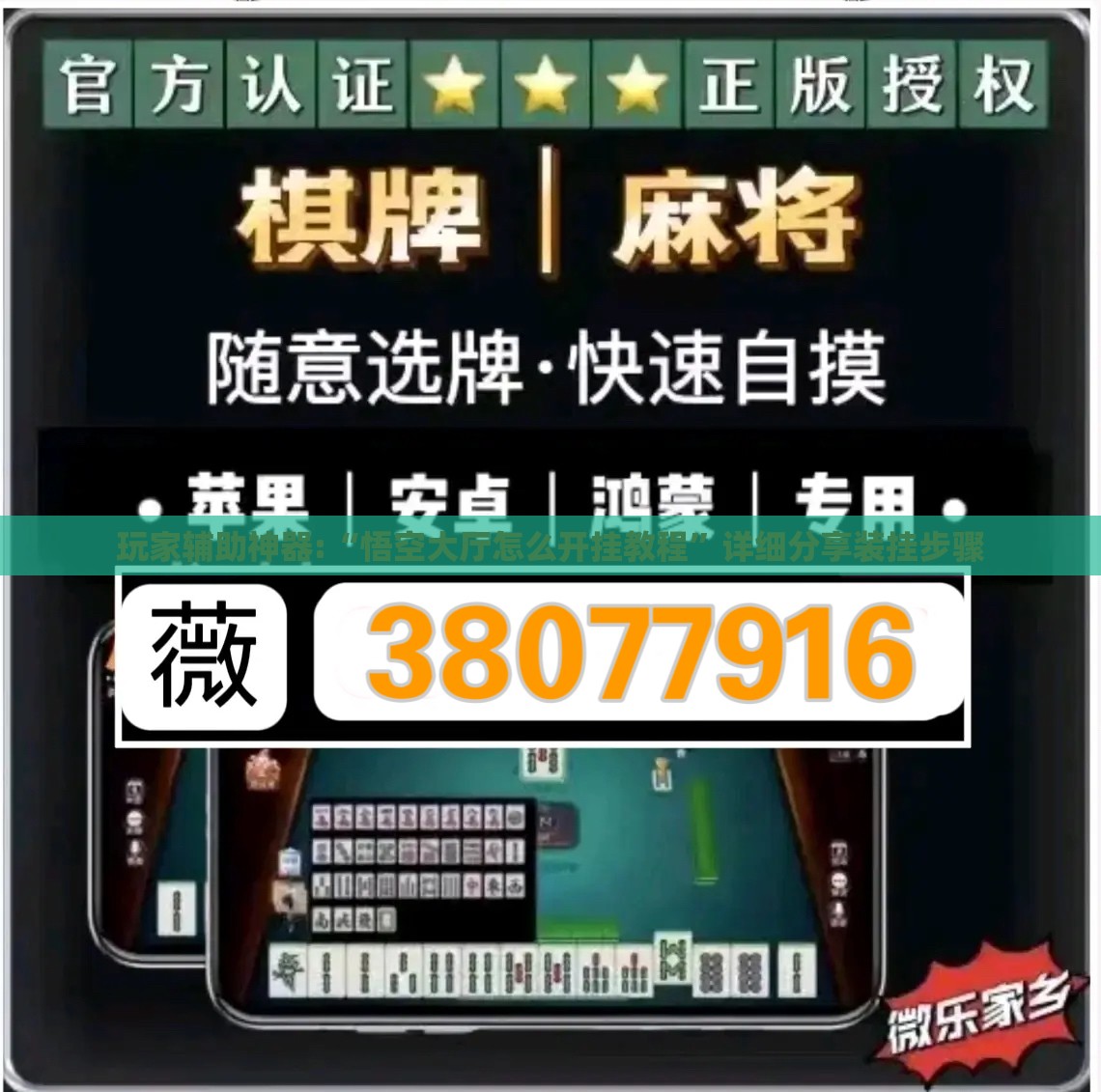 玩家辅助神器:“悟空大厅怎么开挂教程	”详细分享装挂步骤