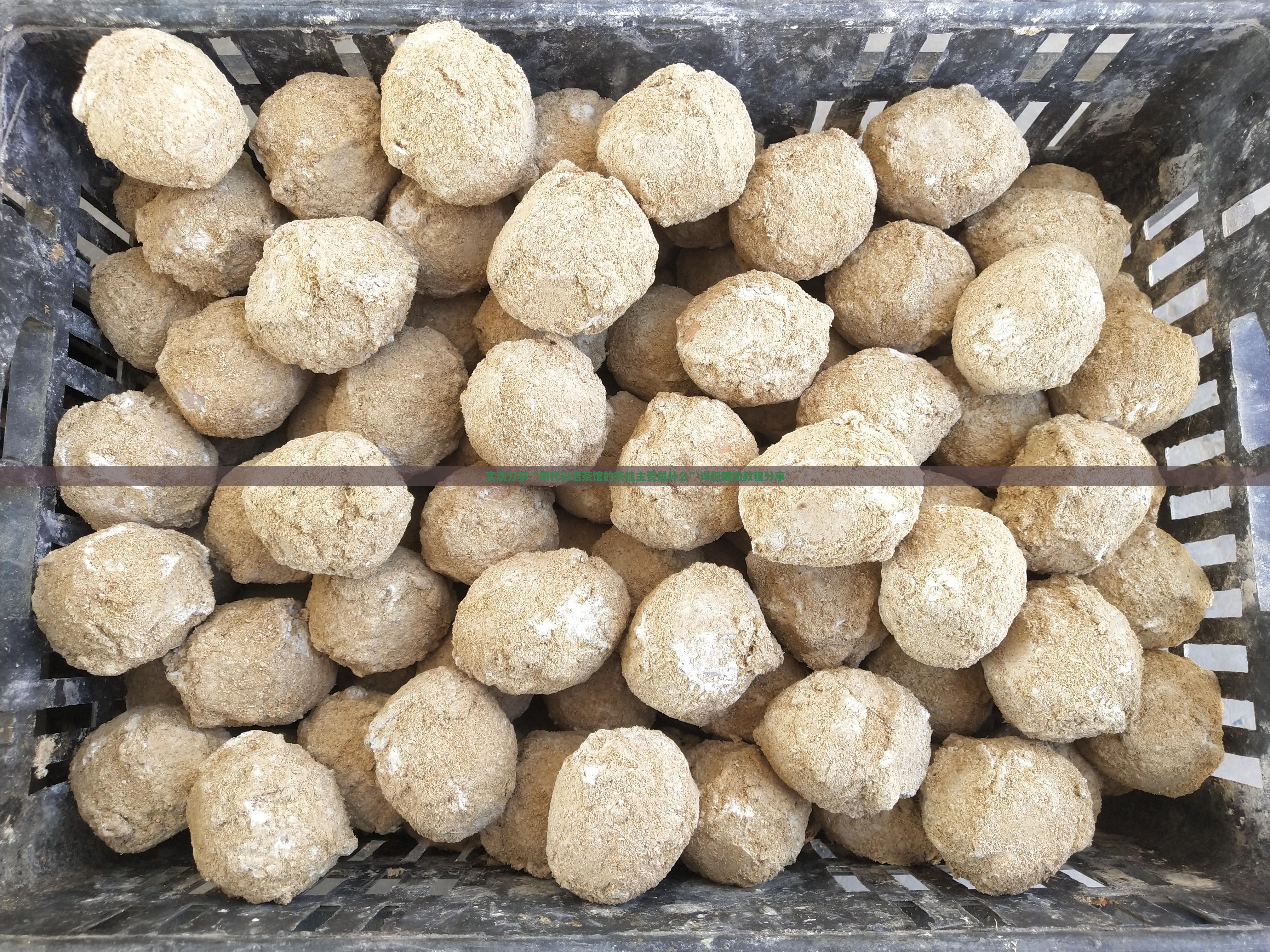 实测分享“明代以后茶馆的茶挂主要是什么”详细辅助教程分享