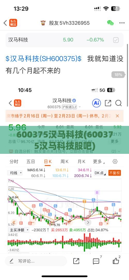 600375汉马科技(600375汉马科技股吧)
