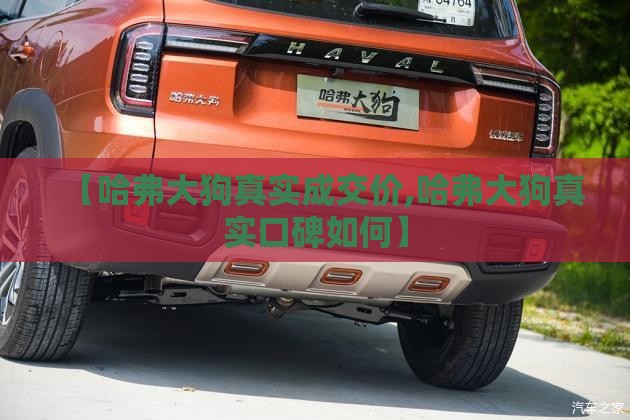 【哈弗大狗真实成交价,哈弗大狗真实口碑如何】