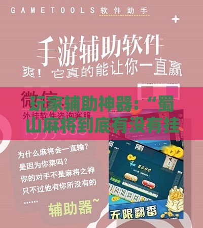 玩家辅助神器:“蜀山麻将到底有没有挂”详细辅助软件教程