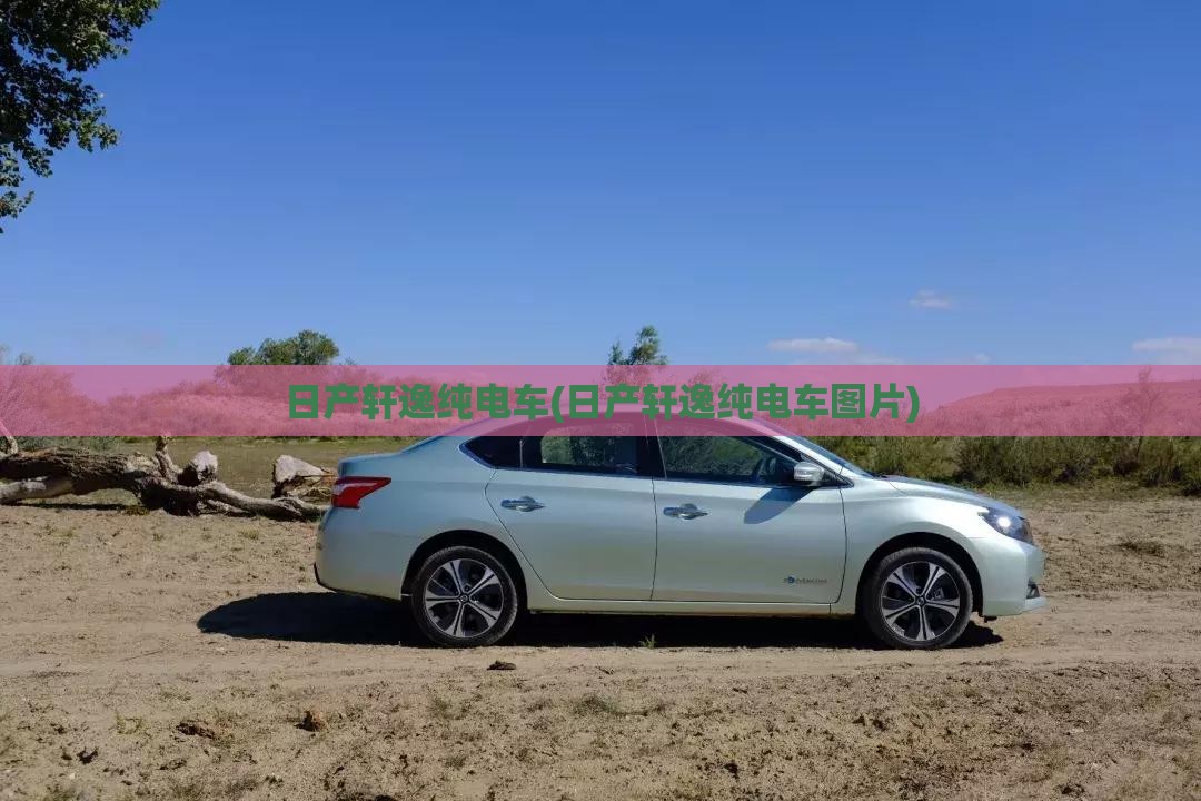 日产轩逸纯电车(日产轩逸纯电车图片) 日产轩逸纯电车(日产轩逸纯电车图片)