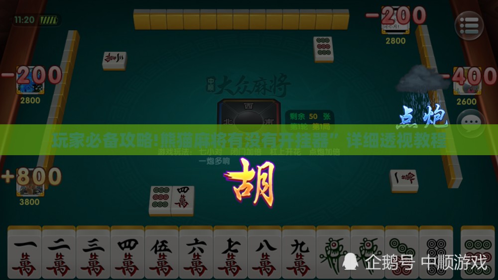 玩家必备攻略!熊猫麻将有没有开挂器	”详细透视教程