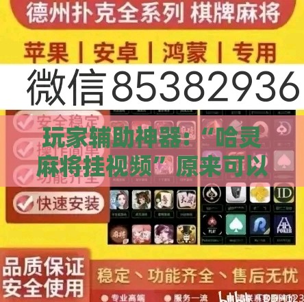 玩家辅助神器:“哈灵麻将挂视频”原来可以开挂
