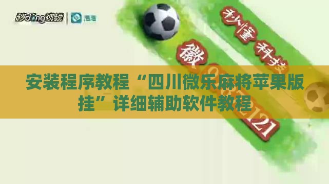 安装程序教程“四川微乐麻将苹果版挂”详细辅助软件教程